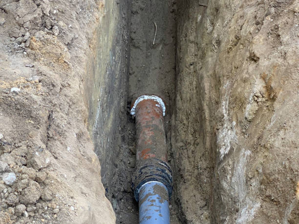 Best Basement water damage restoration  in Sandy Oaks, TX