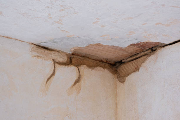 Best Commercial water damage restoration  in Sandy Oaks, TX