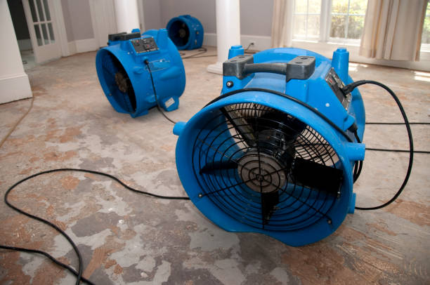Best 24-hour water damage restoration  in Sandy Oaks, TX